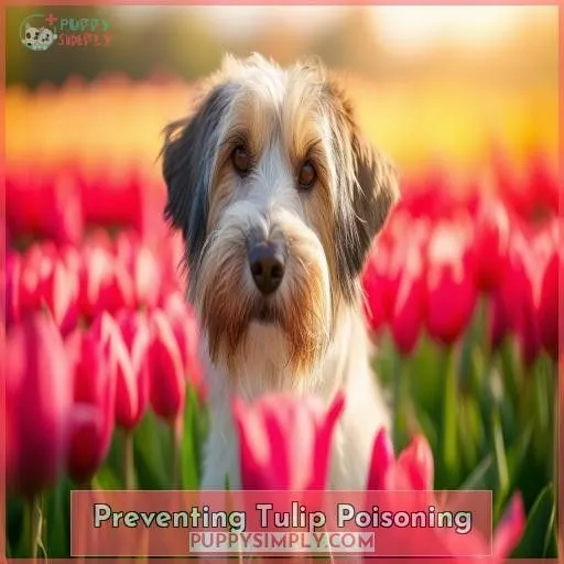 Preventing Tulip Poisoning