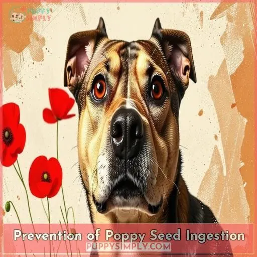 Prevention of Poppy Seed Ingestion