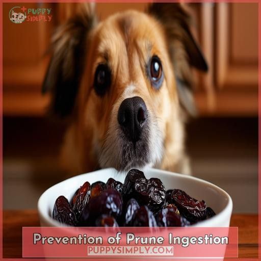 Prevention of Prune Ingestion