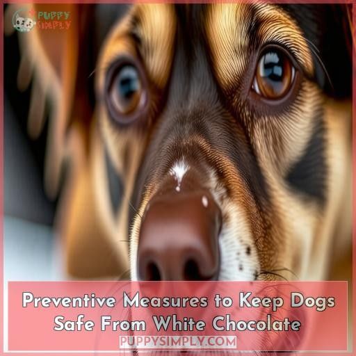 Preventive Measures to Keep Dogs Safe From White Chocolate