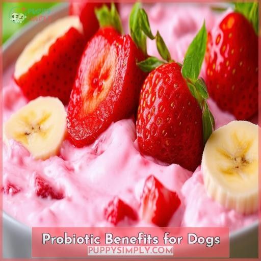 Probiotic Benefits for Dogs