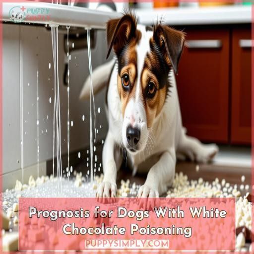 Prognosis for Dogs With White Chocolate Poisoning