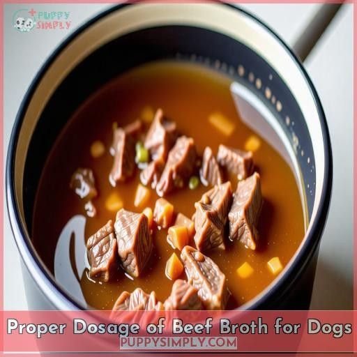 Proper Dosage of Beef Broth for Dogs