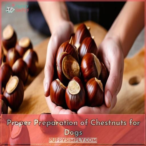 Proper Preparation of Chestnuts for Dogs