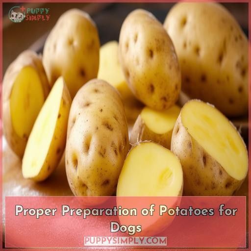 Proper Preparation of Potatoes for Dogs
