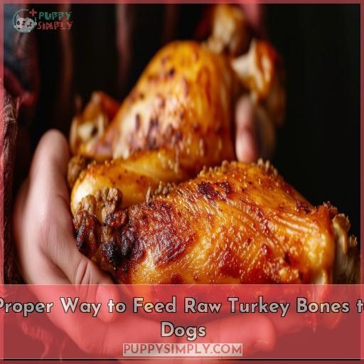 Proper Way to Feed Raw Turkey Bones to Dogs