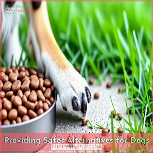 Providing Safer Alternatives for Dogs