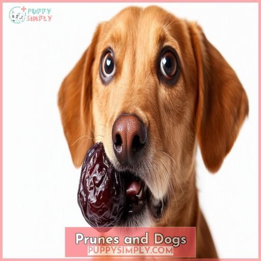 Prunes and Dogs