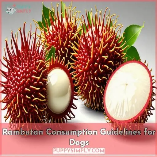 Rambutan Consumption Guidelines for Dogs