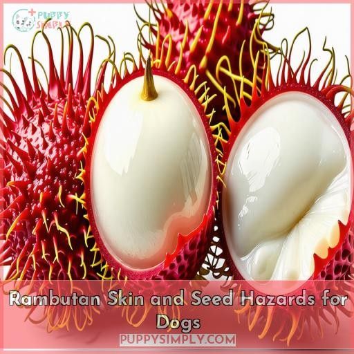 Rambutan Skin and Seed Hazards for Dogs