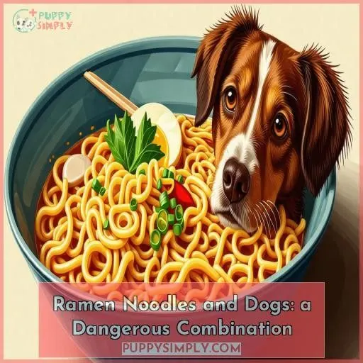Ramen Noodles and Dogs: a Dangerous Combination