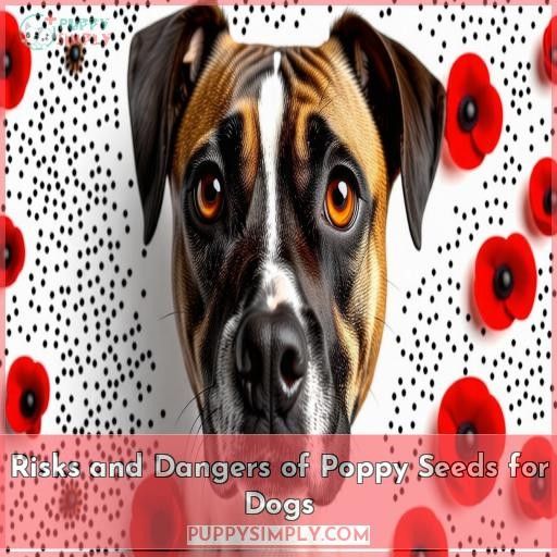 Risks and Dangers of Poppy Seeds for Dogs