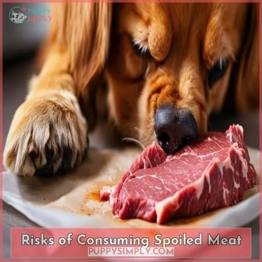 Risks of Consuming Spoiled Meat