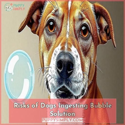 Risks of Dogs Ingesting Bubble Solution
