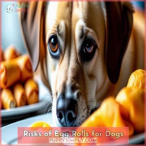 Risks of Egg Rolls for Dogs
