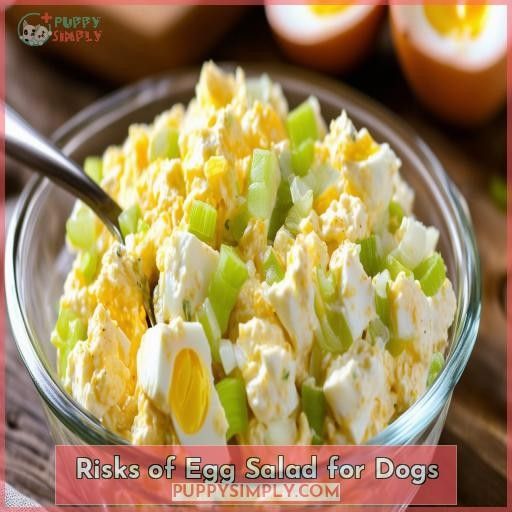 Risks of Egg Salad for Dogs
