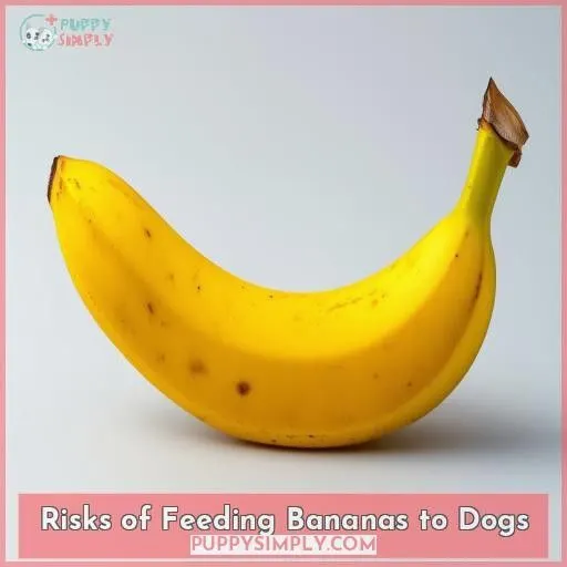 Risks of Feeding Bananas to Dogs