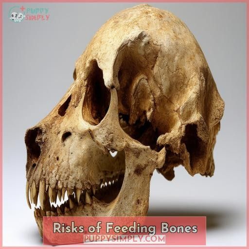 Risks of Feeding Bones