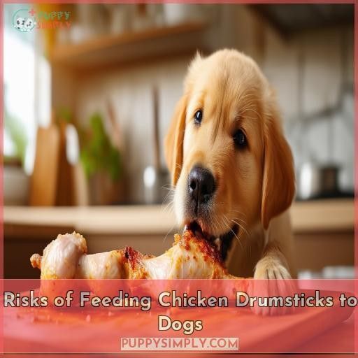 Can Dogs Eat Chicken Drumsticks? The Surprising Truth and Safe Alternatives