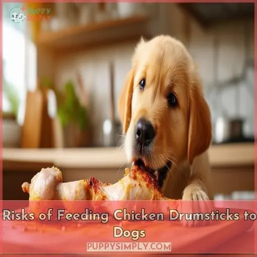 Risks of Feeding Chicken Drumsticks to Dogs