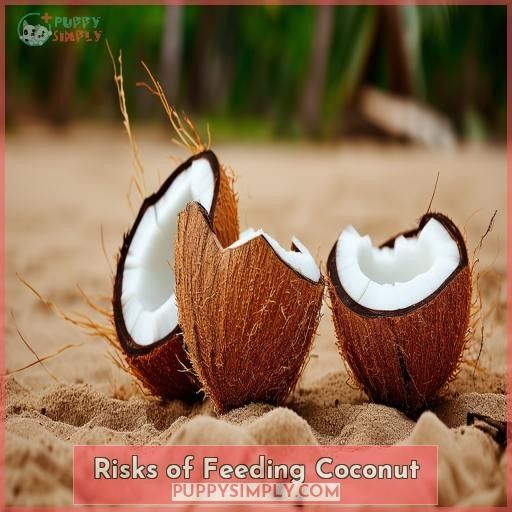 Risks of Feeding Coconut