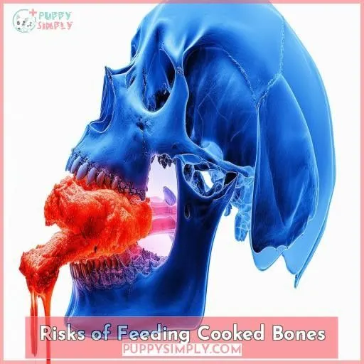Risks of Feeding Cooked Bones