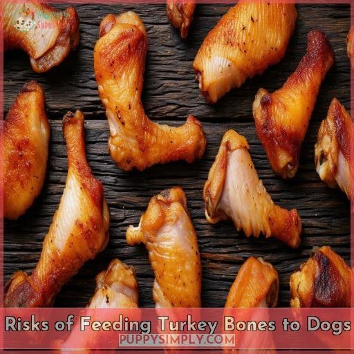 Risks of Feeding Turkey Bones to Dogs