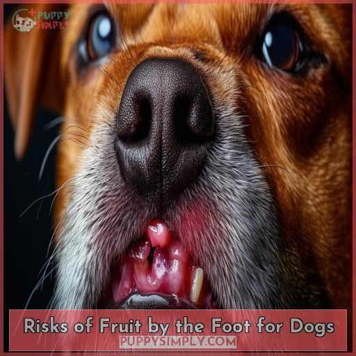 Risks of Fruit by the Foot for Dogs