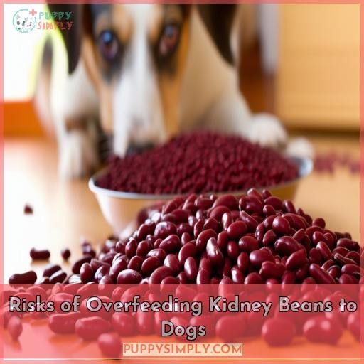 Risks of Overfeeding Kidney Beans to Dogs