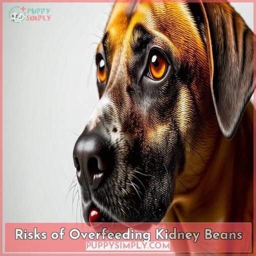 Risks of Overfeeding Kidney Beans