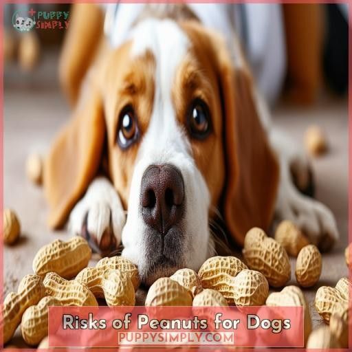 Risks of Peanuts for Dogs