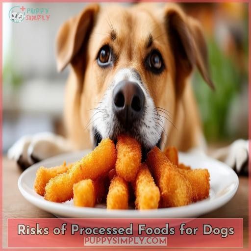 Risks of Processed Foods for Dogs