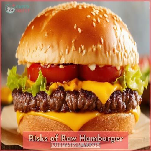 Risks of Raw Hamburger