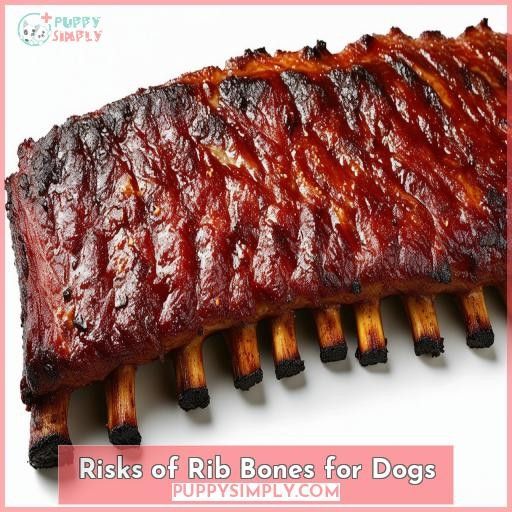 Risks of Rib Bones for Dogs