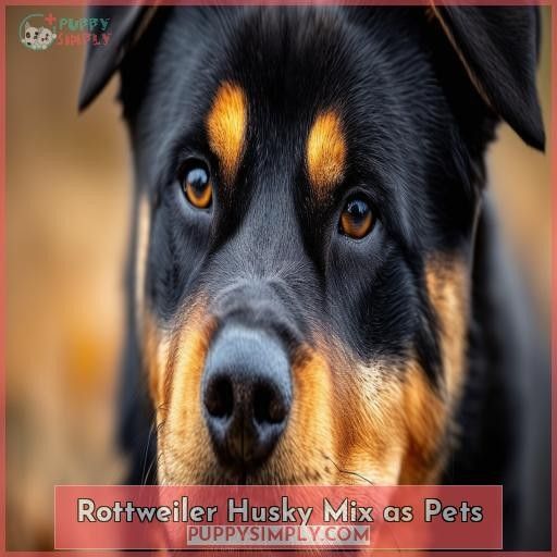 Rottweiler Husky Mix as Pets