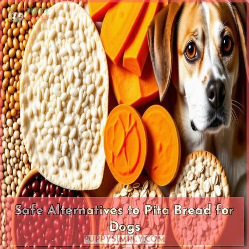 Safe Alternatives to Pita Bread for Dogs