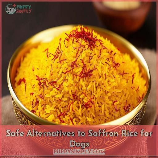 Safe Alternatives to Saffron Rice for Dogs
