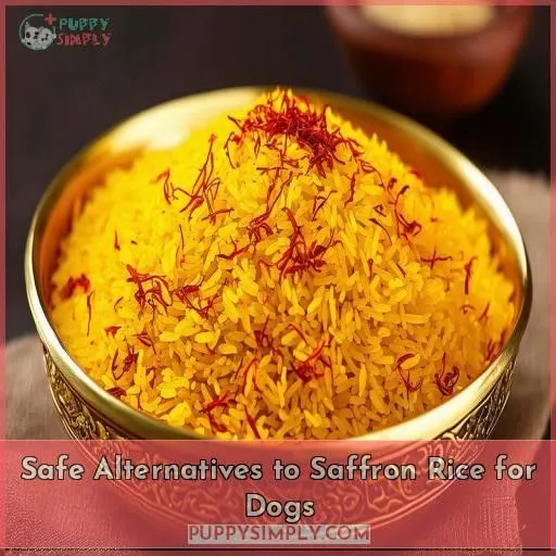 Safe Alternatives to Saffron Rice for Dogs