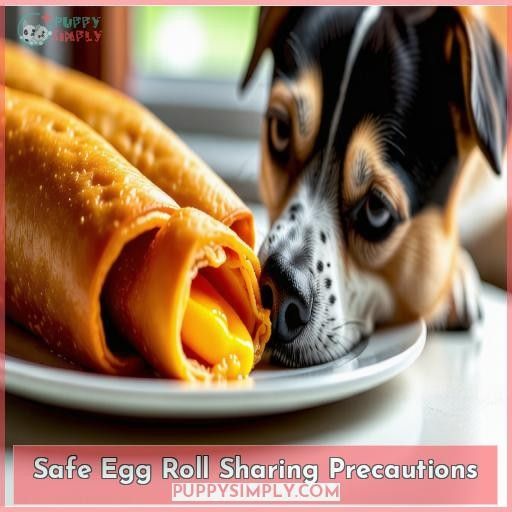 Safe Egg Roll Sharing Precautions
