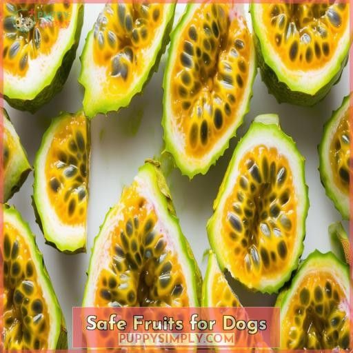 Safe Fruits for Dogs
