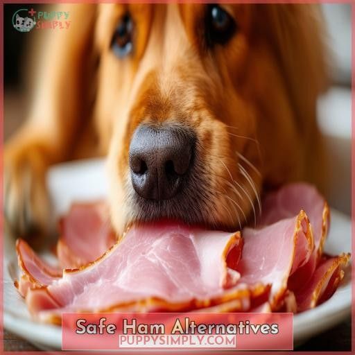 Safe Ham Alternatives