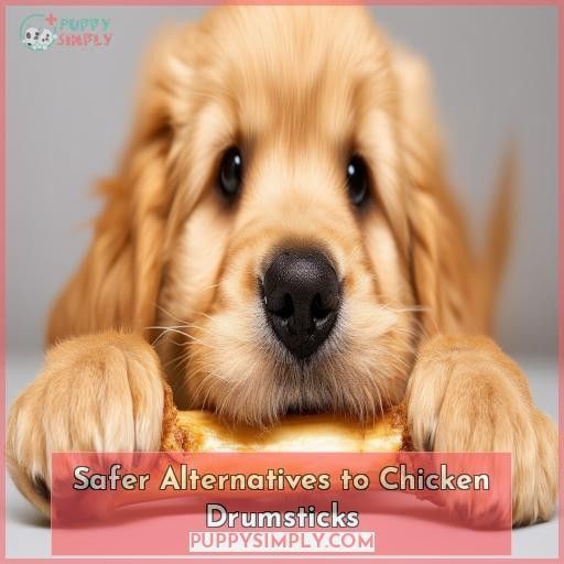 Can Dogs Eat Chicken Drumsticks? The Surprising Truth and Safe Alternatives