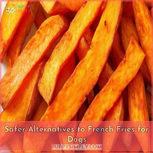 Safer Alternatives to French Fries for Dogs