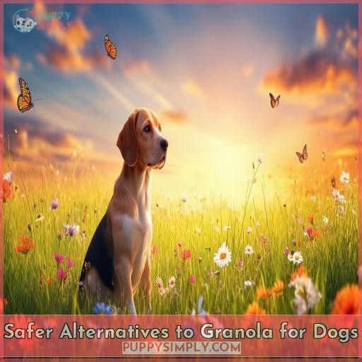 Safer Alternatives to Granola for Dogs