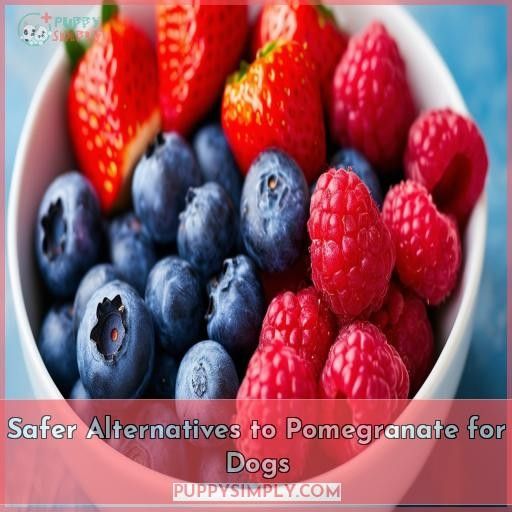 Safer Alternatives to Pomegranate for Dogs