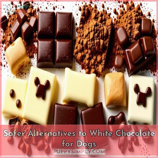 Safer Alternatives to White Chocolate for Dogs