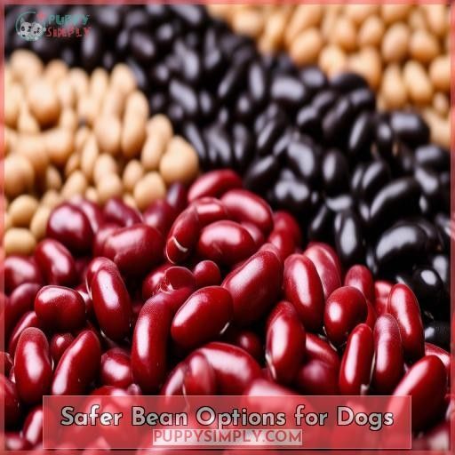 Safer Bean Options for Dogs