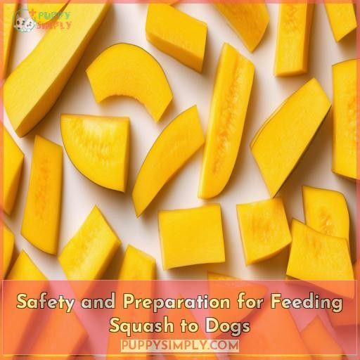 Safety and Preparation for Feeding Squash to Dogs