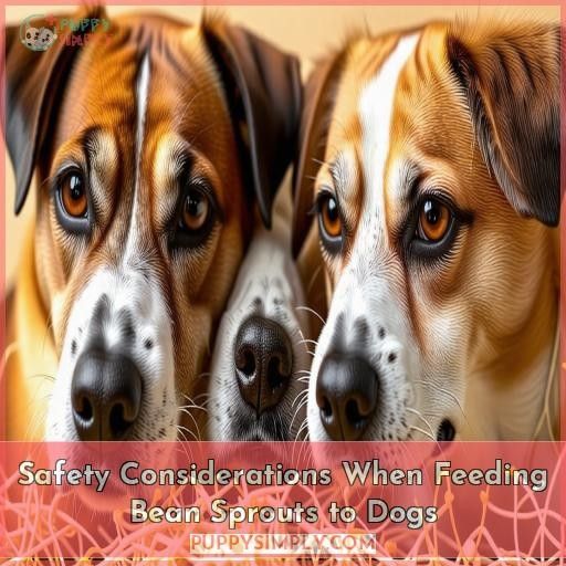 Safety Considerations When Feeding Bean Sprouts to Dogs