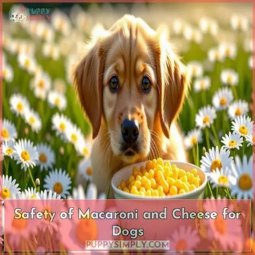 Safety of Macaroni and Cheese for Dogs